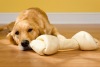 Doggy Treats