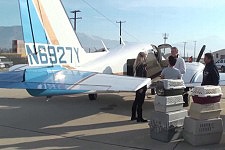 Transport Program - Flight To A New Home