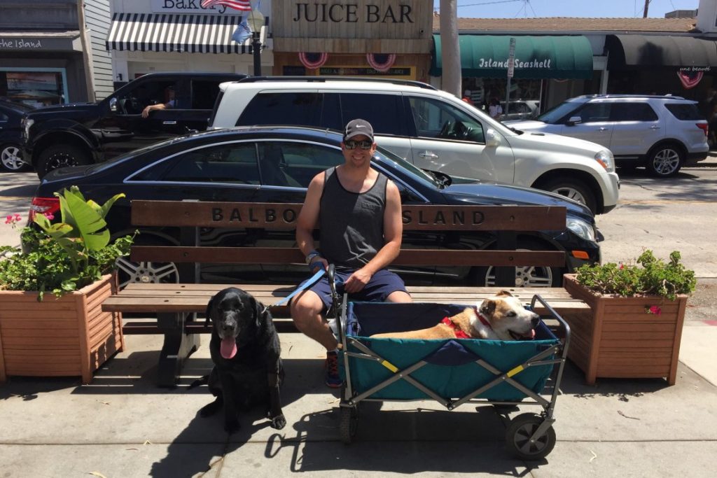 Henry in his wagon with Robert and buddy Maxx