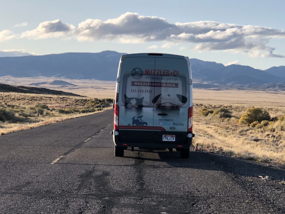 Goshute Reservation Spay / Neuter & Vaccination Clinic