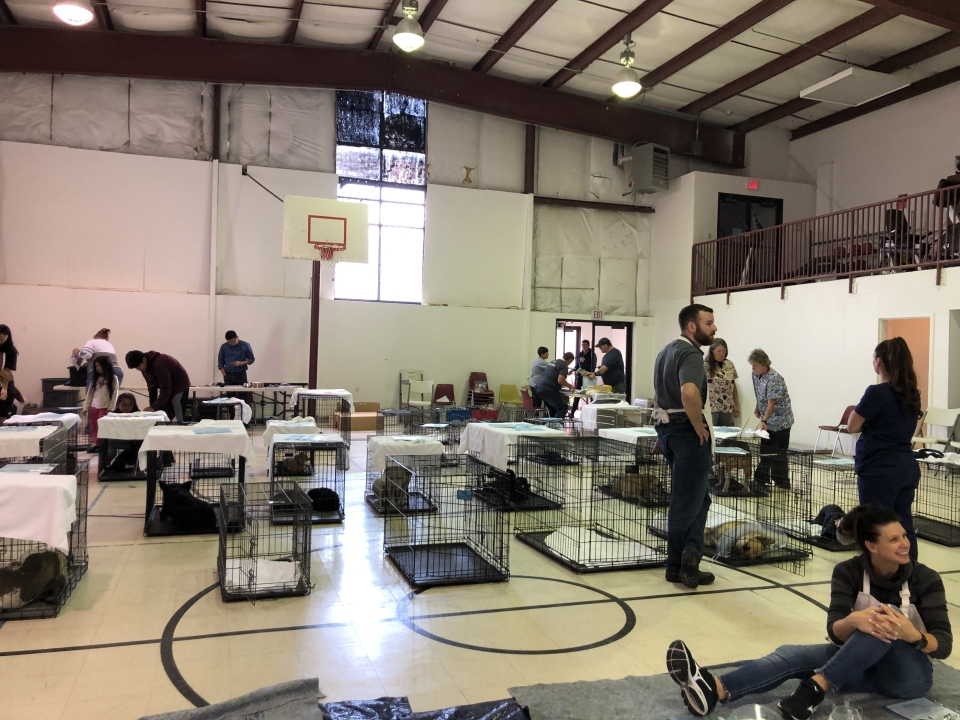 Goshute Reservation Spay / Neuter & Vaccination Clinic