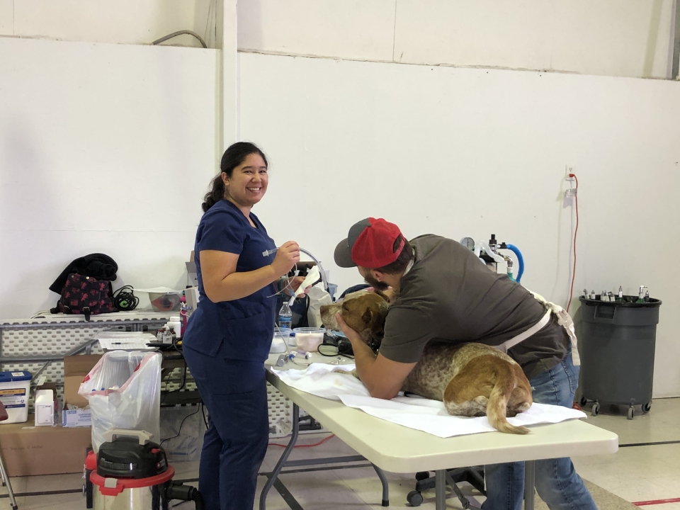 Goshute Reservation Spay / Neuter & Vaccination Clinic